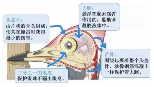 昆明安全帽，安全買冷知識你知道嗎？